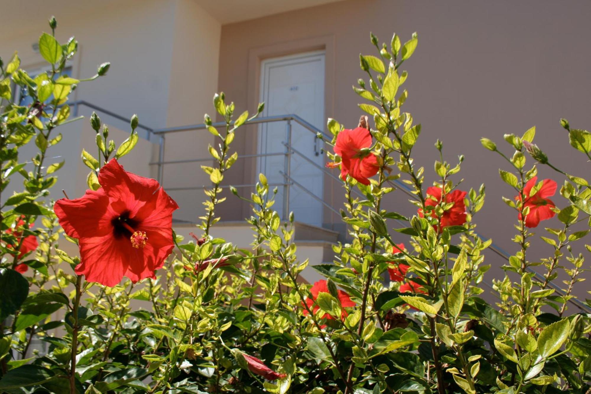 Amaryllis Front Beach Hotel Lardos Exteriér fotografie